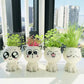 Mini Cat Ceramic Flowerpot – Cute & Decorative 🐱🌿 Instabuy Hub