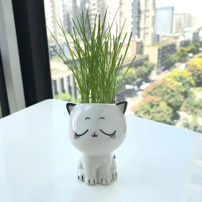 Mini Cat Ceramic Flowerpot – Cute & Decorative 🐱🌿 Instabuy Hub