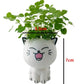 Mini Cat Ceramic Flowerpot – Cute & Decorative 🐱🌿 Instabuy Hub