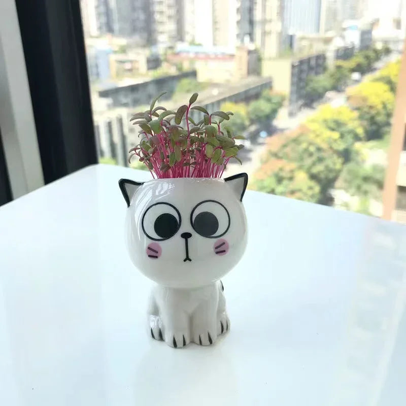 Mini Cat Ceramic Flowerpot – Cute & Decorative 🐱🌿 Instabuy Hub