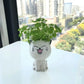 Mini Cat Ceramic Flowerpot – Cute & Decorative 🐱🌿 Instabuy Hub