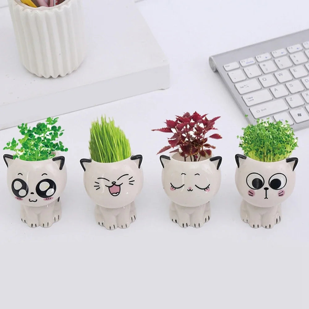 Mini Cat Ceramic Flowerpot – Cute & Decorative 🐱🌿 Instabuy Hub