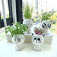 Mini Cat Ceramic Flowerpot – Cute & Decorative 🐱🌿 Instabuy Hub