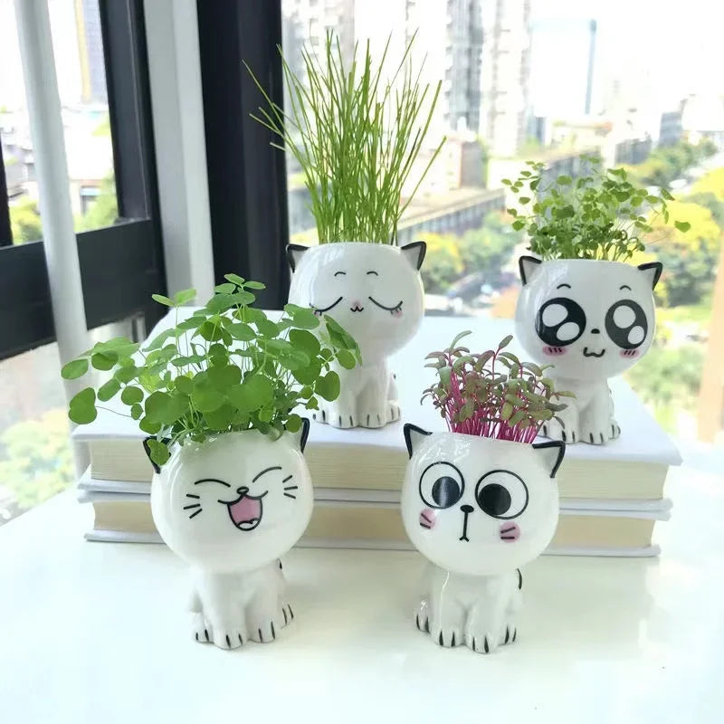 Mini Cat Ceramic Flowerpot – Cute & Decorative 🐱🌿 Instabuy Hub