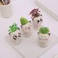 Mini Cat Ceramic Flowerpot – Cute & Decorative 🐱🌿 Instabuy Hub